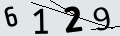 verifycode
